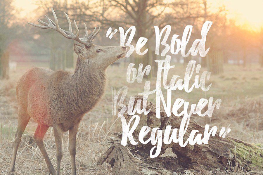 Debby Free Font