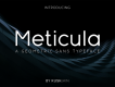 Meticula Sans Free Demo