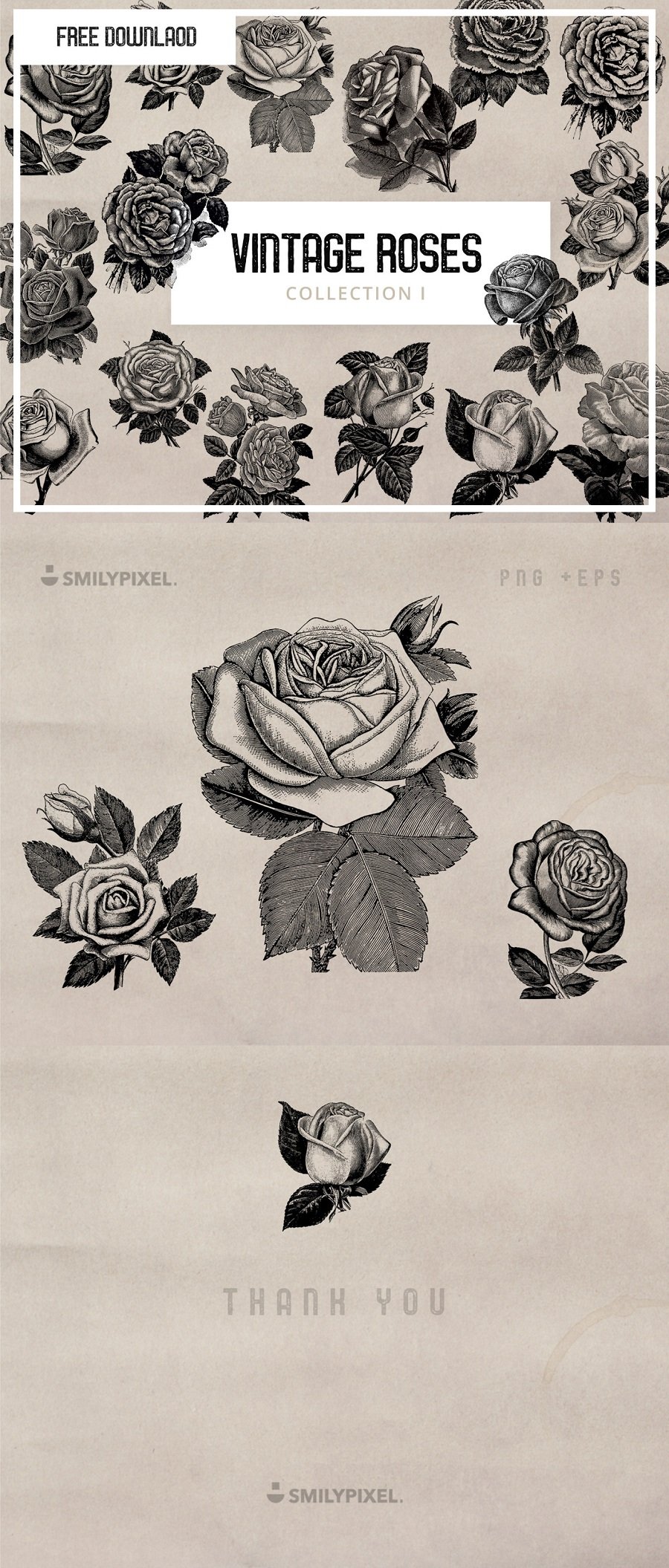 Free Vintage Roses Illustration