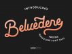 Belvedere Font Duo Demo