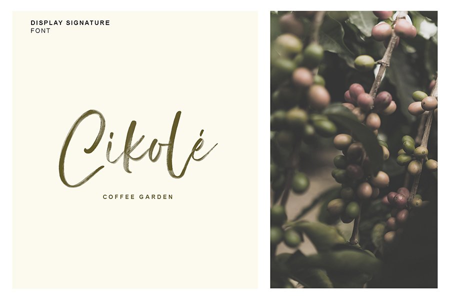 Display Signature Brush Font