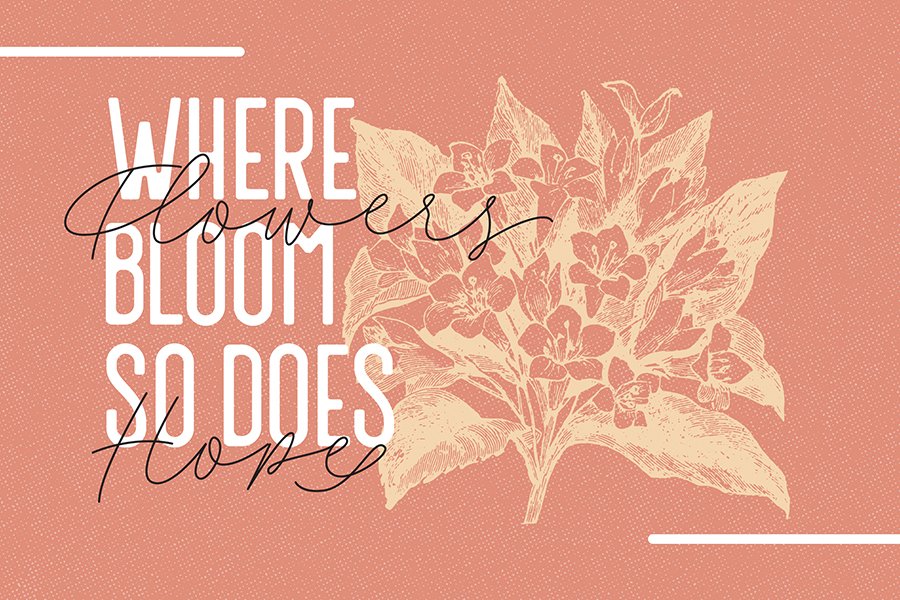 Fillia Script Free Font Demo