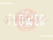 Fillia Script Free Font Demo