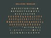 Gallicide Display Font Family