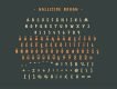 Gallicide Display Font Family