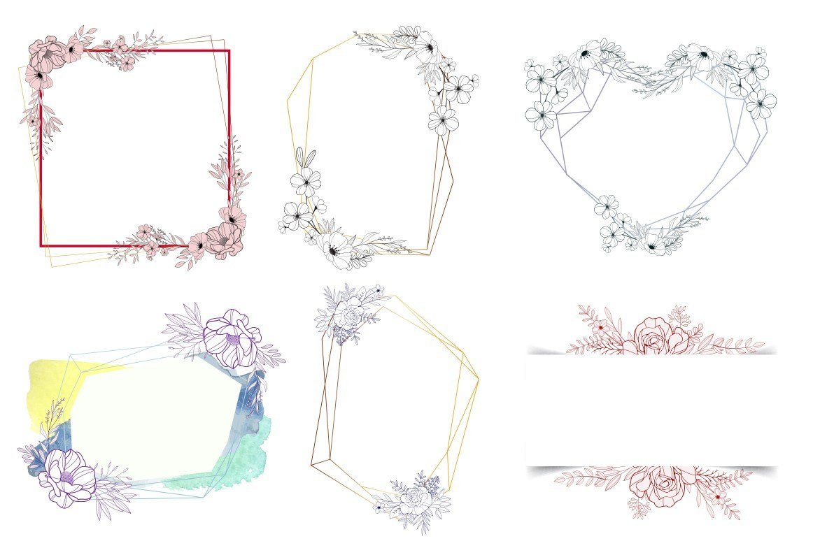 Hand-drawn Floral Vector Collection
