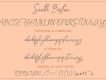 South Boston Script Free Demo