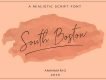 South Boston Script Free Demo