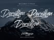 Domillion Brush Font Demo