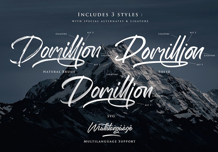 Domillion Brush Font Demo