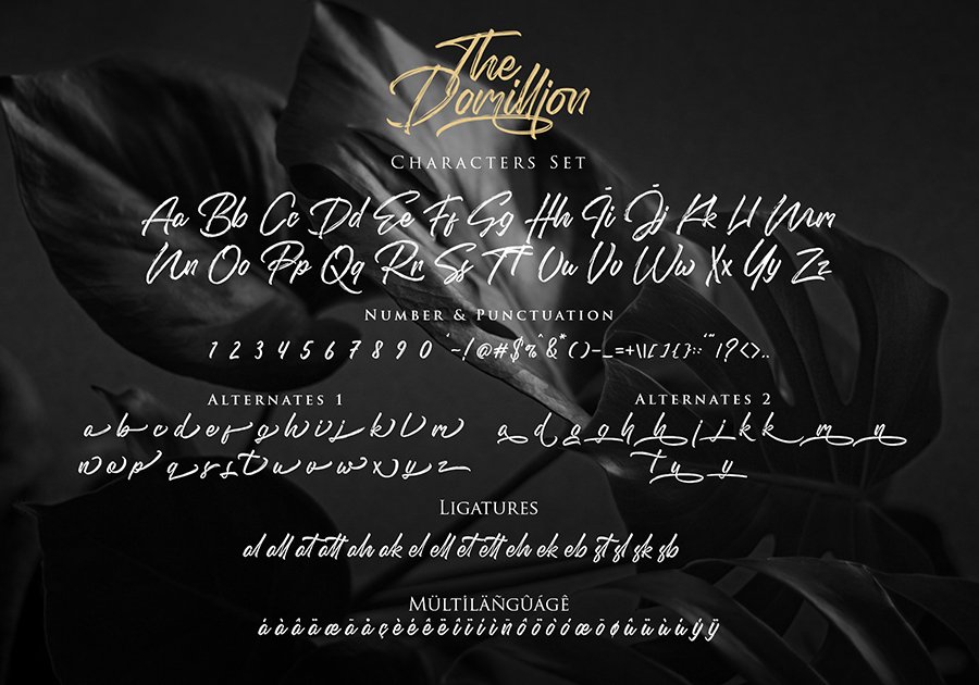 Domillion Brush Font Demo