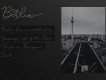 Adelya Handlettering Script