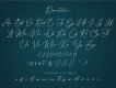 Donatellia Signature Script