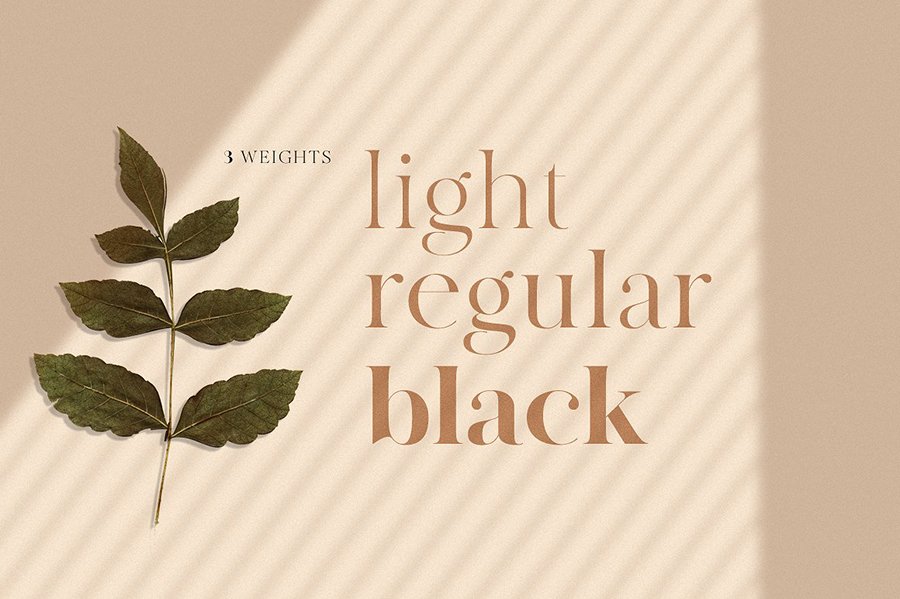 Made Canvas Font Family Demo