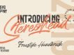 Stereohead Brush Lettering Font