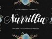 Nurillia Calligraphy Script Font