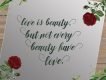 Nurillia Calligraphy Script Font