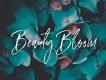 Amourist Handlettering Script