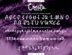 Creata Script Free Demo