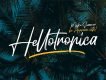 Hellotropica Handbrush Font