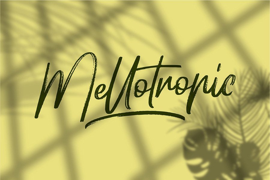 Hellotropica Handbrush Font
