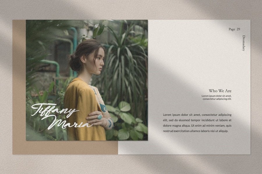 Dromadary Presentation Template