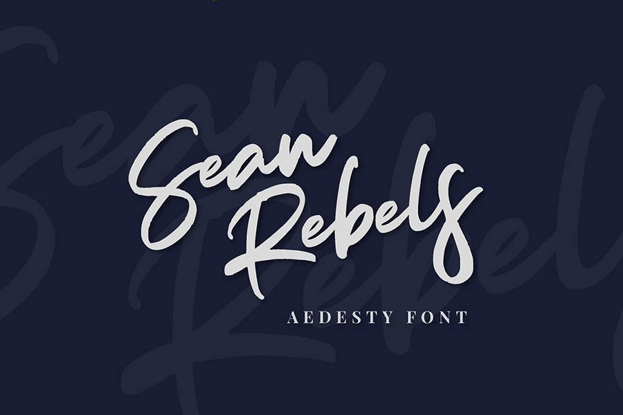 Aedesty Script Free Demo