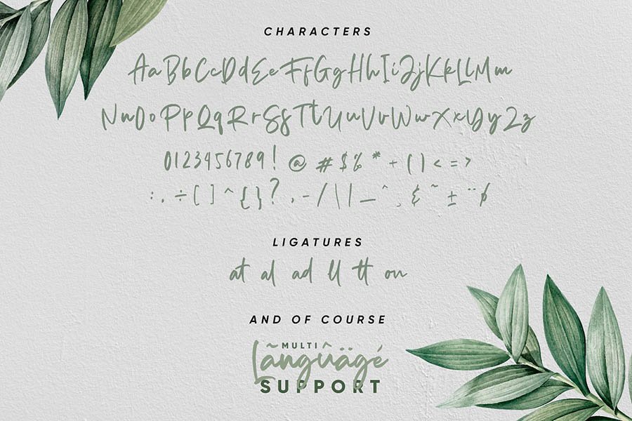 Aedesty Script Free Demo