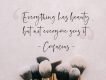 Anastacy Script Font Demo