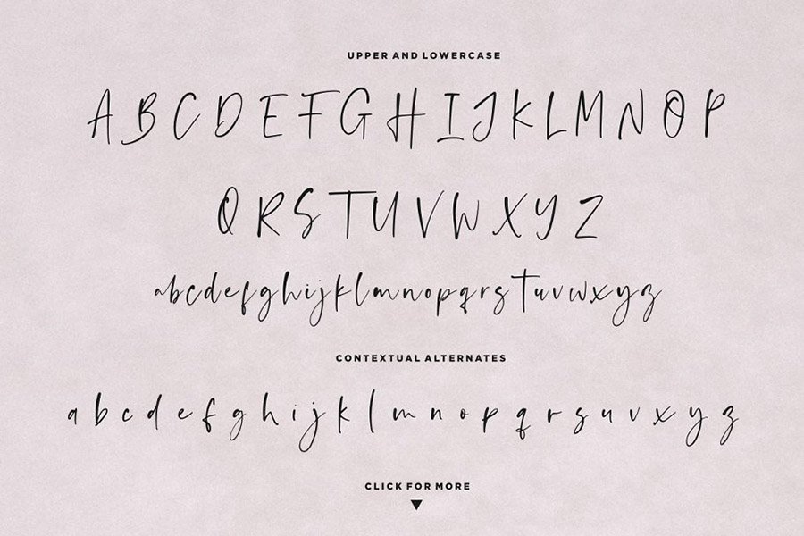 Anastacy Script Font Demo