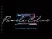 Maddison Signature Script