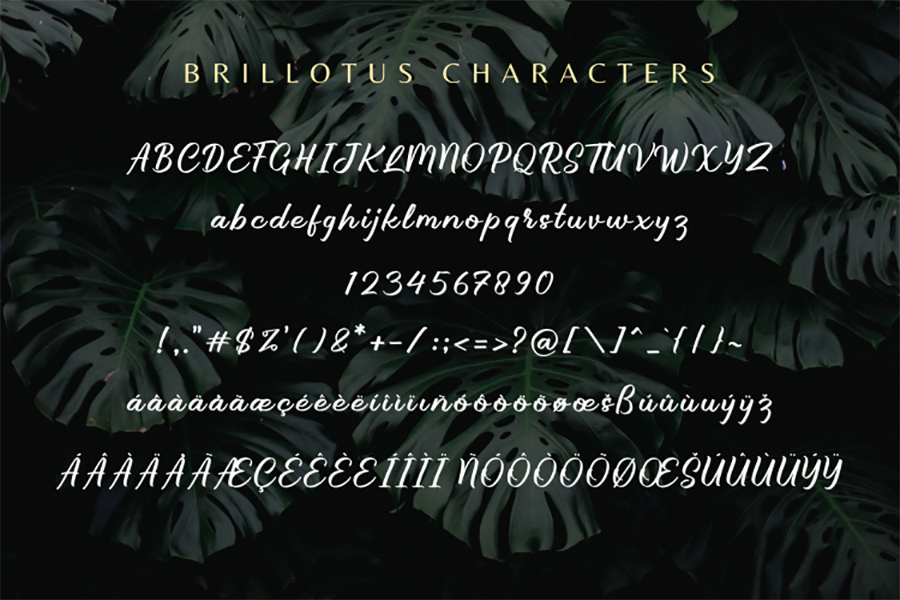 Brillotus Handlettering Script