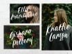 Carily Fresh Modern Script