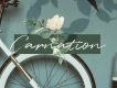 Carnation Presentation Template