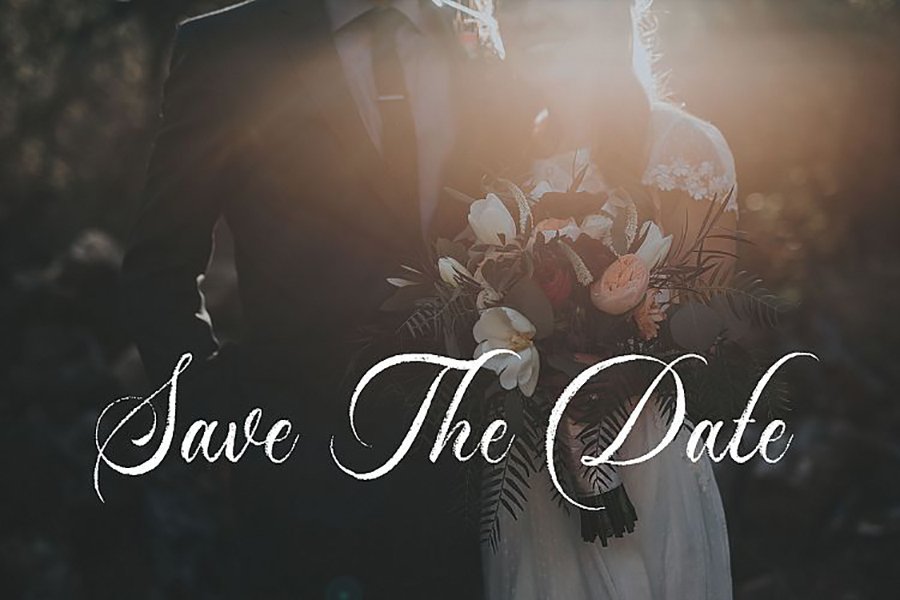 Dayland Script Free Demo