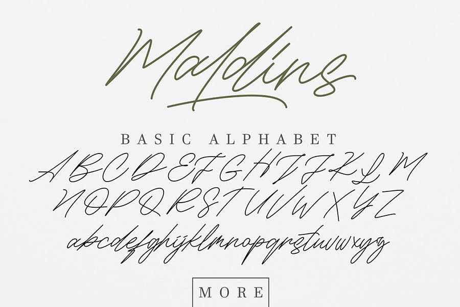 Maldins Signature Free Demo
