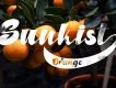 North Blue Bold Script Font