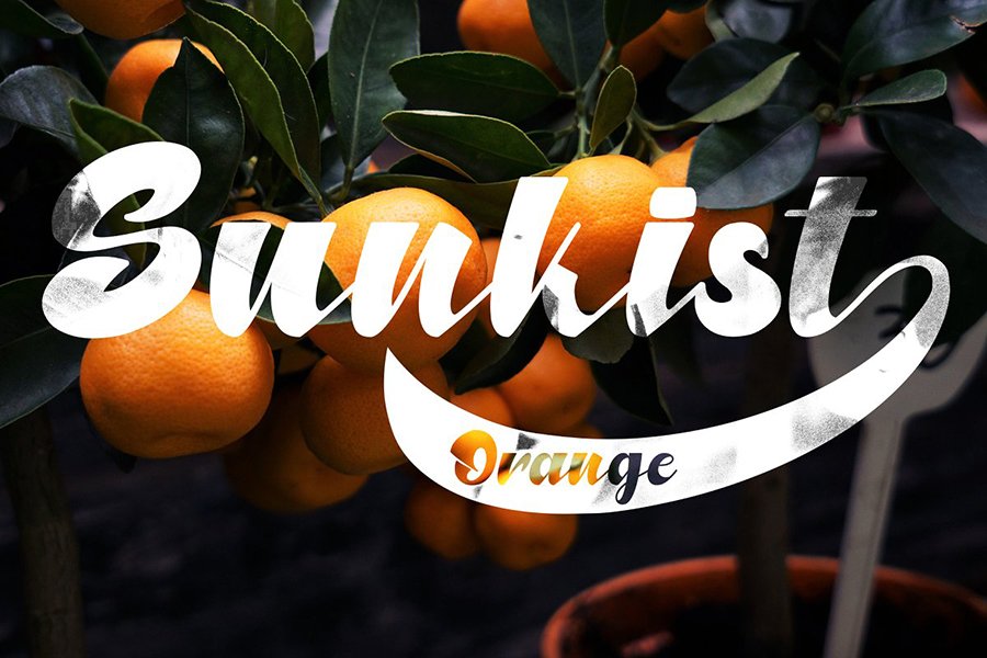 North Blue Bold Script Font