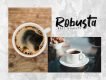Vontens Handwriting Brush Font
