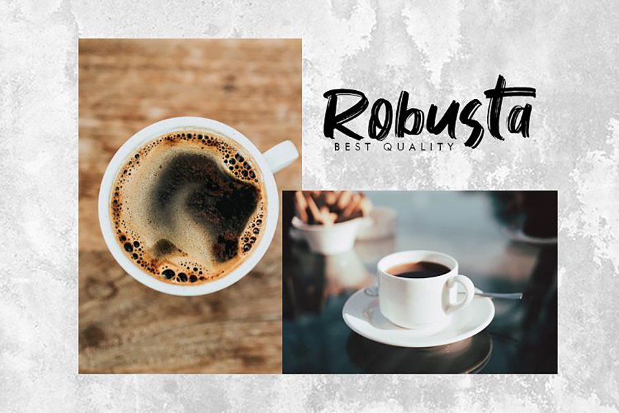 Vontens Handwriting Brush Font