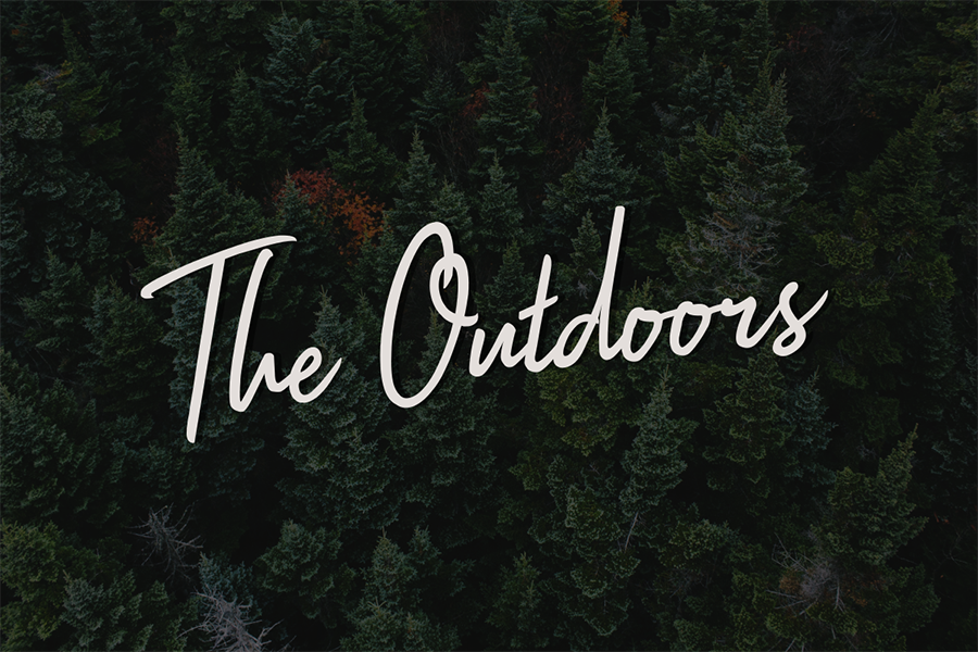 Impossible Script Font Demo