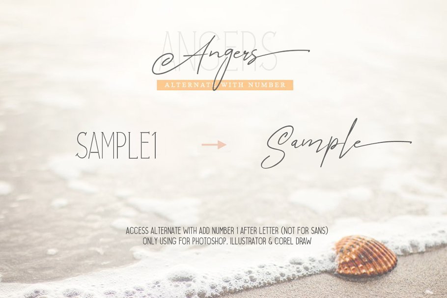 Angers Signature Script Font