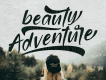 Bridamount Script Free Demo