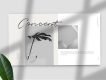 Elliette Presentation Template