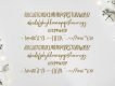 Frances Modern Script Font