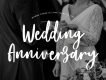 Frances Modern Script Font