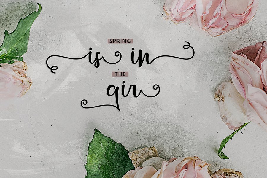 Letterbest Handlettering Script