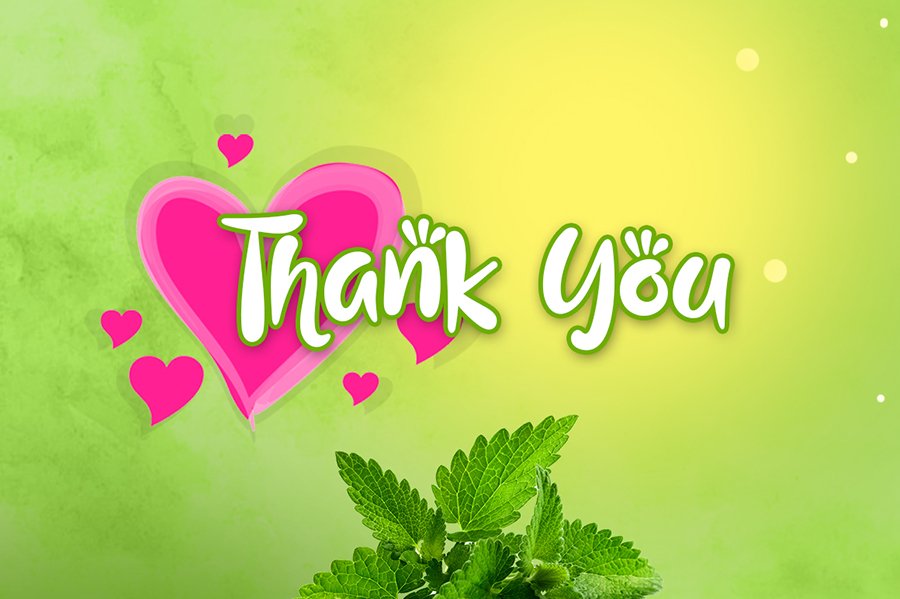 Love Mint Display Font Demo