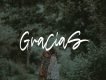Madigel Handwritten Script Font
