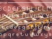 Megumin Unique Display Font